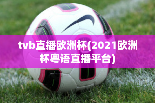 tvb直播欧洲杯(2021欧洲杯粤语直播平台)