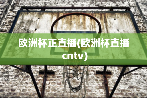 欧洲杯正直播(欧洲杯直播 cntv)