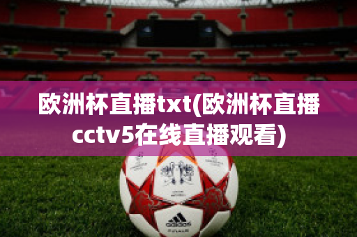 欧洲杯直播txt(欧洲杯直播cctv5在线直播观看)