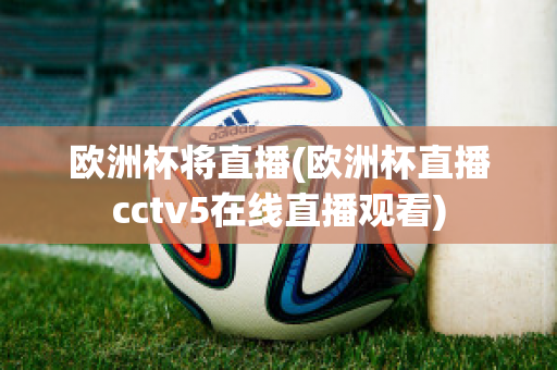 欧洲杯将直播(欧洲杯直播cctv5在线直播观看)