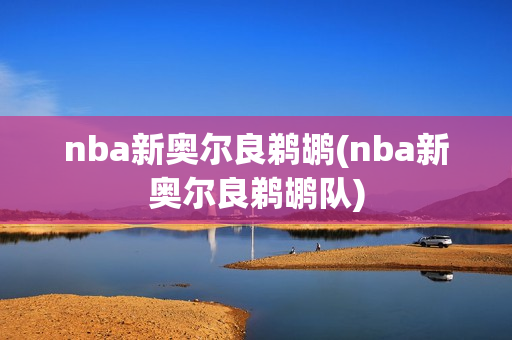 nba新奥尔良鹈鹕(nba新奥尔良鹈鹕队)