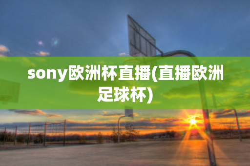 sony欧洲杯直播(直播欧洲足球杯)