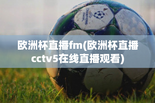 欧洲杯直播fm(欧洲杯直播cctv5在线直播观看)