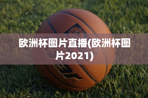 欧洲杯图片直播(欧洲杯图片2021)