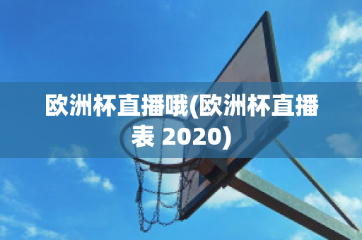 欧洲杯直播哦(欧洲杯直播表 2020)