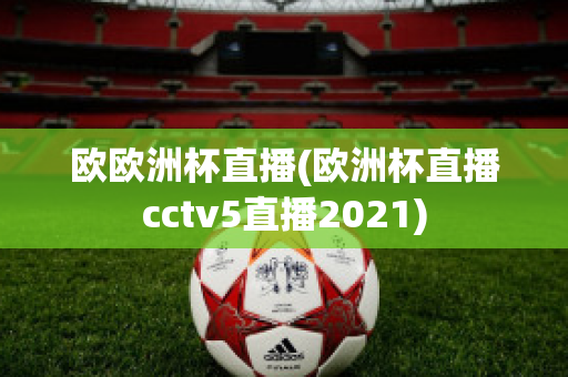 欧欧洲杯直播(欧洲杯直播cctv5直播2021)