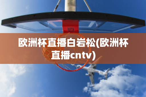 欧洲杯直播白岩松(欧洲杯直播cntv)