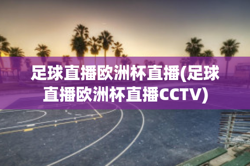 足球直播欧洲杯直播(足球直播欧洲杯直播CCTV)