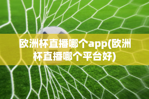 欧洲杯直播哪个app(欧洲杯直播哪个平台好)