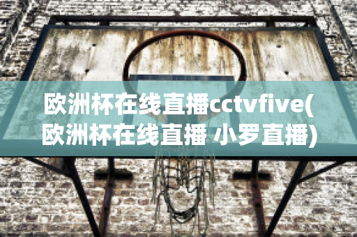 欧洲杯在线直播cctvfive(欧洲杯在线直播 小罗直播)