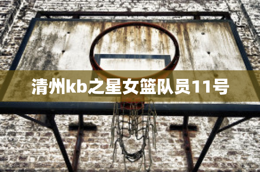 清州kb之星女篮队员11号