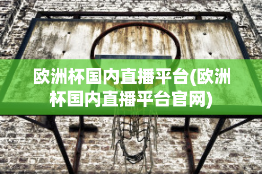 欧洲杯国内直播平台(欧洲杯国内直播平台官网)