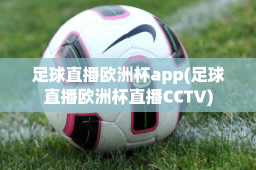 足球直播欧洲杯app(足球直播欧洲杯直播CCTV)