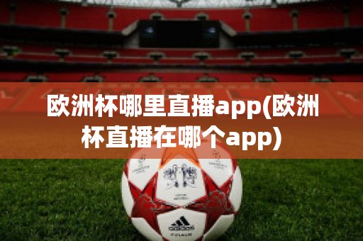 欧洲杯哪里直播app(欧洲杯直播在哪个app)