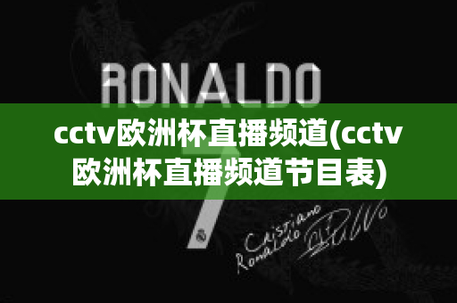 cctv欧洲杯直播频道(cctv欧洲杯直播频道节目表)