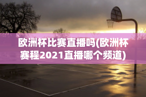 欧洲杯比赛直播吗(欧洲杯赛程2021直播哪个频道)