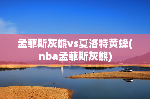 孟菲斯灰熊vs夏洛特黄蜂(nba孟菲斯灰熊)