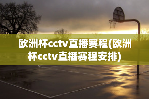 欧洲杯cctv直播赛程(欧洲杯cctv直播赛程安排)