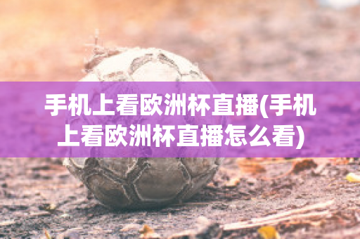 手机上看欧洲杯直播(手机上看欧洲杯直播怎么看)