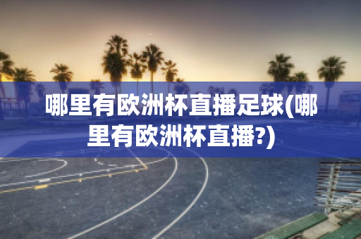 哪里有欧洲杯直播足球(哪里有欧洲杯直播?)