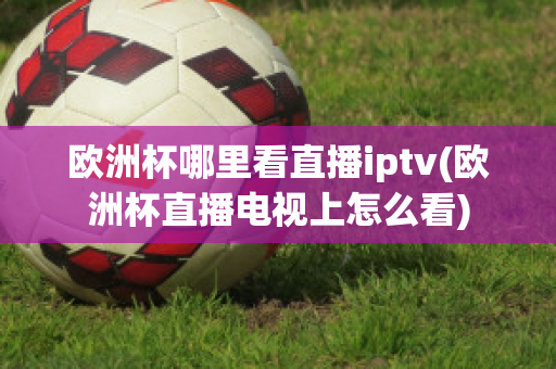 欧洲杯哪里看直播iptv(欧洲杯直播电视上怎么看)