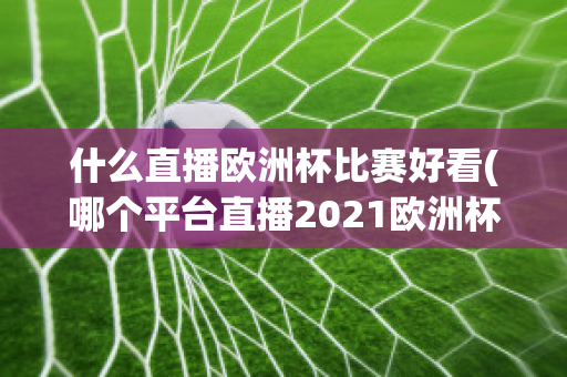 什么直播欧洲杯比赛好看(哪个平台直播2021欧洲杯)