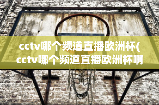 cctv哪个频道直播欧洲杯(cctv哪个频道直播欧洲杯啊)