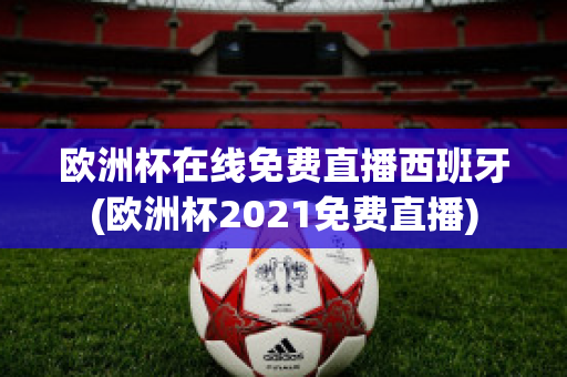 欧洲杯在线免费直播西班牙(欧洲杯2021免费直播)