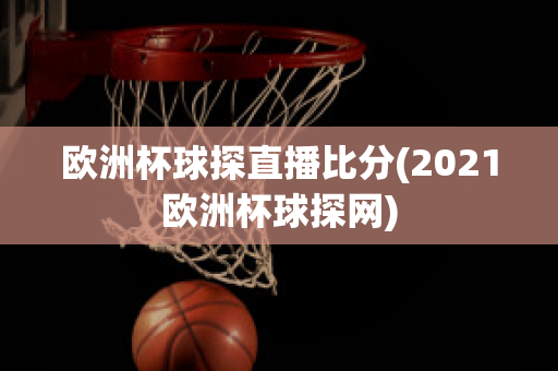 欧洲杯球探直播比分(2021欧洲杯球探网)