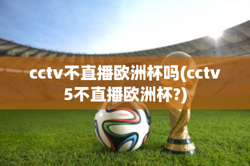 cctv不直播欧洲杯吗(cctv5不直播欧洲杯?)