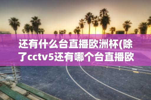 还有什么台直播欧洲杯(除了cctv5还有哪个台直播欧洲杯)