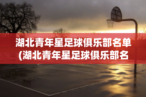 湖北青年星足球俱乐部名单(湖北青年星足球俱乐部名单最新)