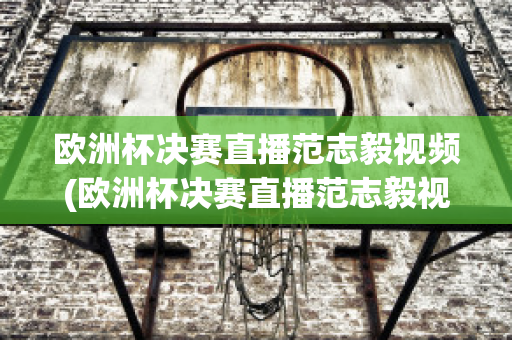 欧洲杯决赛直播范志毅视频(欧洲杯决赛直播范志毅视频在线观看)