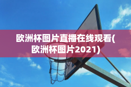 欧洲杯图片直播在线观看(欧洲杯图片2021)