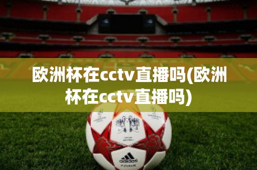 欧洲杯在cctv直播吗(欧洲杯在cctv直播吗)