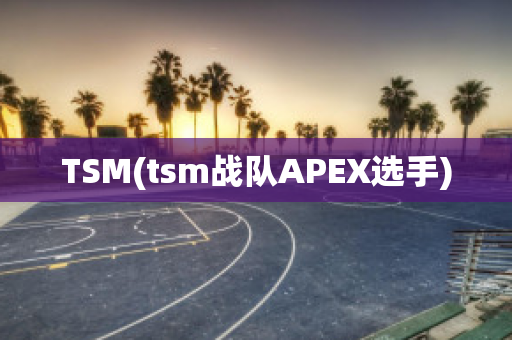 TSM(tsm战队APEX选手)