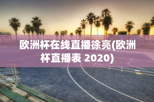 欧洲杯在线直播徐亮(欧洲杯直播表 2020)