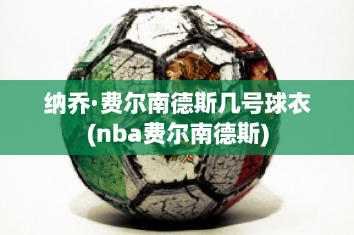 纳乔·费尔南德斯几号球衣(nba费尔南德斯)