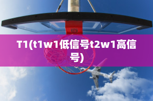 T1(t1w1低信号t2w1高信号)