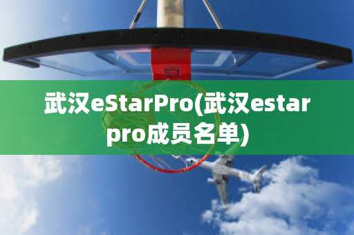 武汉eStarPro(武汉estarpro成员名单)