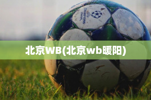 北京WB(北京wb暖阳)