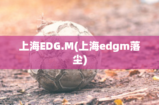 上海EDG.M(上海edgm落尘)