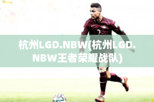 杭州LGD.NBW(杭州LGD.NBW王者荣耀战队)