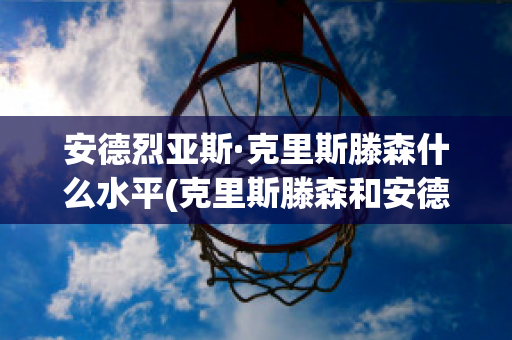 安德烈亚斯·克里斯滕森什么水平(克里斯滕森和安德森)