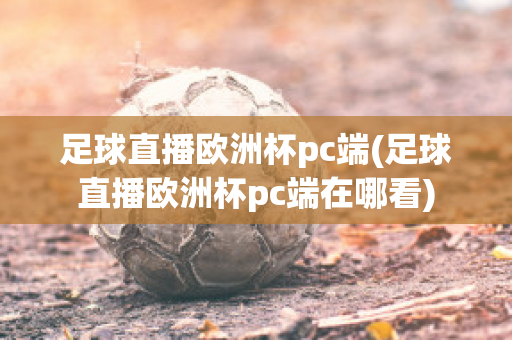 足球直播欧洲杯pc端(足球直播欧洲杯pc端在哪看)