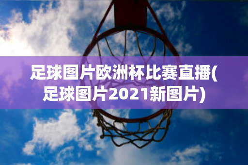 足球图片欧洲杯比赛直播(足球图片2021新图片)