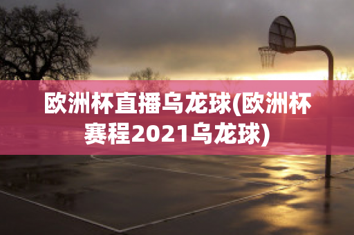 欧洲杯直播乌龙球(欧洲杯赛程2021乌龙球)