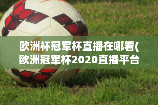 欧洲杯冠军杯直播在哪看(欧洲冠军杯2020直播平台)