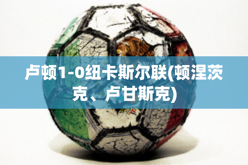 卢顿1-0纽卡斯尔联(顿涅茨克、卢甘斯克)