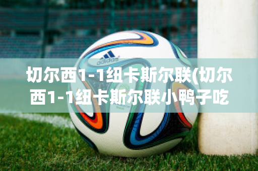 切尔西1-1纽卡斯尔联(切尔西1-1纽卡斯尔联小鸭子吃什么)